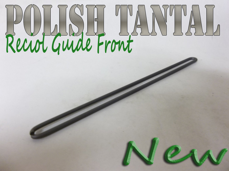 Polish Tantal Recoil Guide, Front